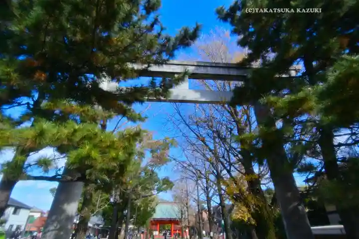 葛飾八幡宮(千葉県)