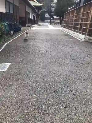 修広寺のその他建物