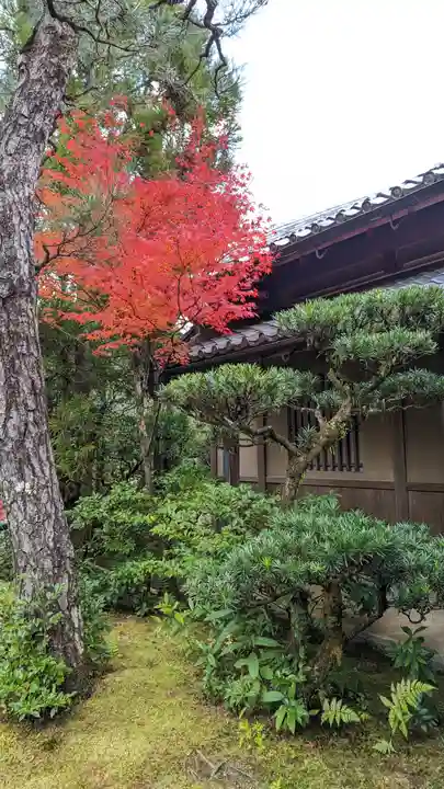 光悦寺(京都府)