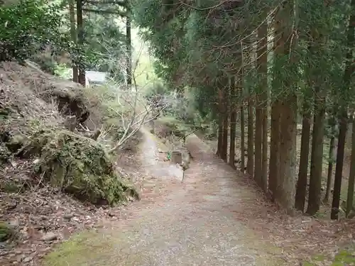 火男火賣神社（中宮）の自然