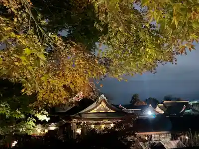 北野天満宮(京都府)
