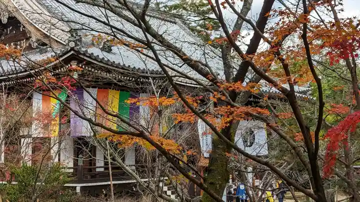 光明寺(粟生光明寺)(京都府)