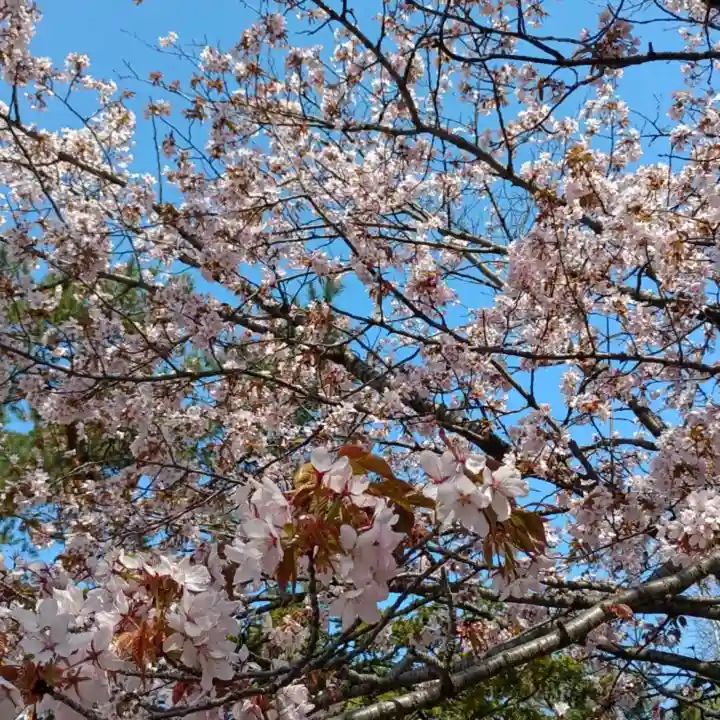 彌彦神社 (伊夜日子神社)の食事