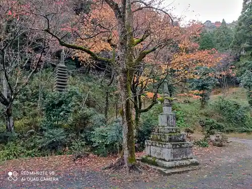 観音寺の建物その他