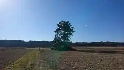 荒脛巾神社(宮城県)