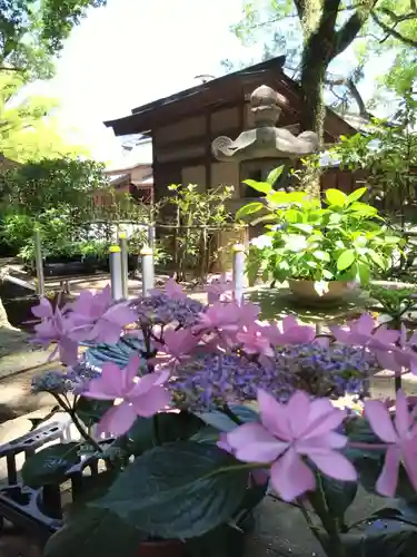 筥崎宮(福岡県)