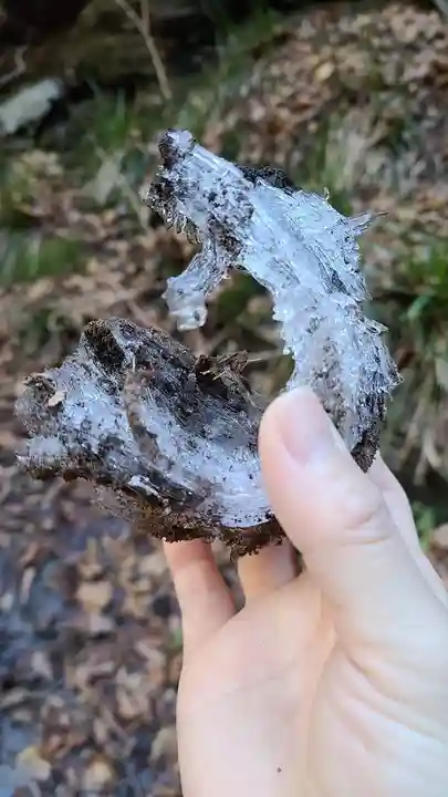 武蔵御嶽神社(東京都)