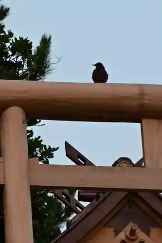 稲佐の浜　弁天島(島根県)