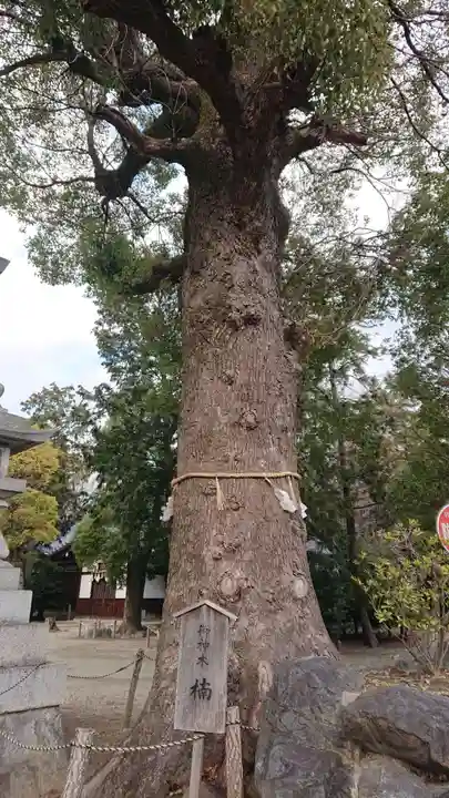 稲葉神社の自然