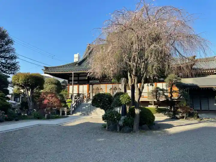 徳林寺の{uncategorized: "未分類", other: "その他", undefined: "問題あり", building: "その他建物", grave: "お墓", sacred_gate: "鳥居", guardian: "狛犬", statue: "像", buddha: "仏像", history: "歴史", nature: "自然", garden: "庭園", animal: "動物", pagoda: "塔", temizu: "手水舎", mountain_gate: "山門・神門", sanctuary: "本殿・本堂", subordinate: "末社・摂社", art: "芸術", scenery: "景色", jizo: "地蔵", ema: "絵馬", goshuin: "御朱印", omikuji: "おみくじ", items: "授与品その他", amulet: "お守り", goshuincho: "御朱印帳", eats: "食事", festival: "お祭り", votive_dance: "神楽", shichigosan: "七五三参", wedding: "結婚式", experience: "体験その他", initially: "初詣", around: "周辺", anti_infection: "感染症対策"}
