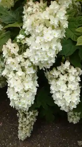 寛永寺(根本中堂)(東京都)