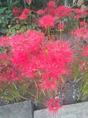 福寿院(東京都)