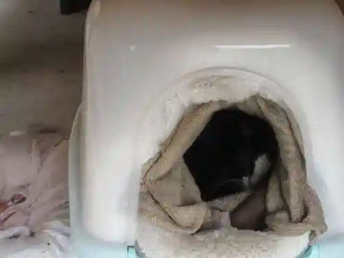 清源院(神奈川県)