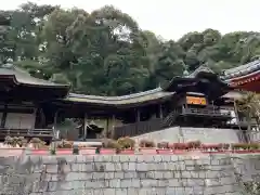 金剛寺の建物その他