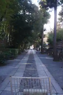 大徳寺(京都府)