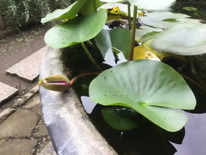 宝戒寺(神奈川県)