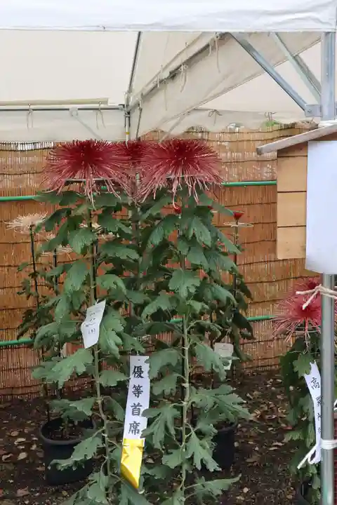 高麗神社のその他建物
