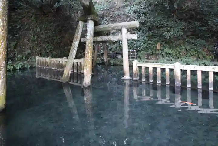 鹿島神宮(茨城県)