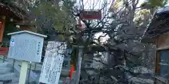 長岡天満宮の建物その他