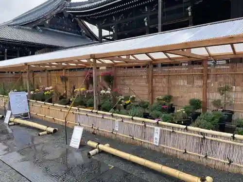 本願寺（西本願寺）(京都府)