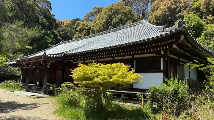 浄瑠璃寺の{uncategorized: "未分類", other: "その他", undefined: "問題あり", building: "その他建物", grave: "お墓", sacred_gate: "鳥居", guardian: "狛犬", statue: "像", buddha: "仏像", history: "歴史", nature: "自然", garden: "庭園", animal: "動物", pagoda: "塔", temizu: "手水舎", mountain_gate: "山門・神門", sanctuary: "本殿・本堂", subordinate: "末社・摂社", art: "芸術", scenery: "景色", jizo: "地蔵", ema: "絵馬", goshuin: "御朱印", omikuji: "おみくじ", items: "授与品その他", amulet: "お守り", goshuincho: "御朱印帳", eats: "食事", festival: "お祭り", votive_dance: "神楽", shichigosan: "七五三参", wedding: "結婚式", experience: "体験その他", initially: "初詣", around: "周辺", anti_infection: "感染症対策"}