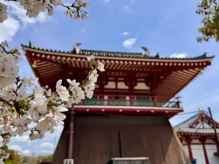 四天王寺(大阪府)