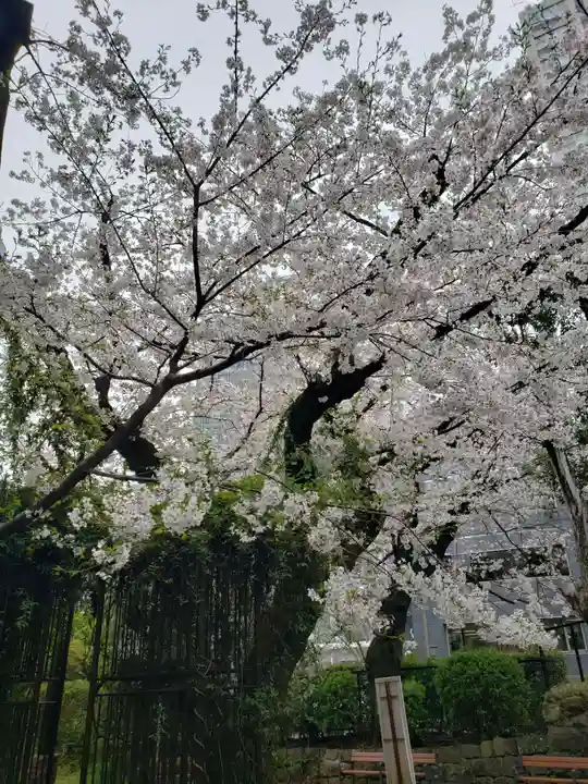乃木神社(東京都)