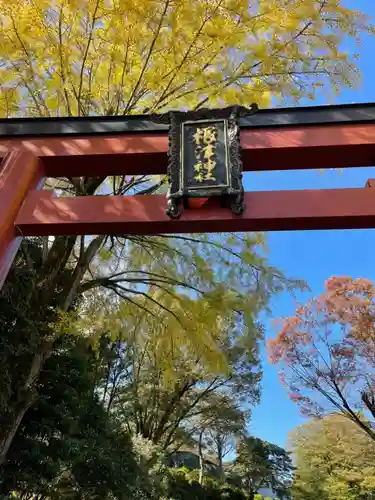 根津神社の鳥居