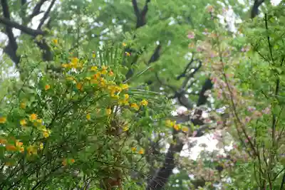 阿久津「田村神社」（郡山市阿久津町）旧社名：伊豆箱根三嶋三社の自然