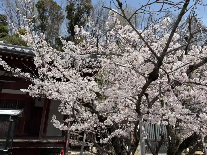 安岡寺(大阪府)