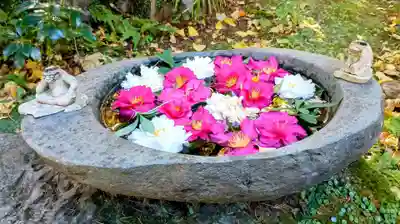 かっぱの寺 栖足寺(静岡県)