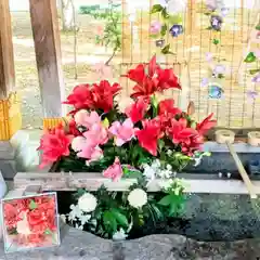 彌彦神社　(伊夜日子神社)(北海道)