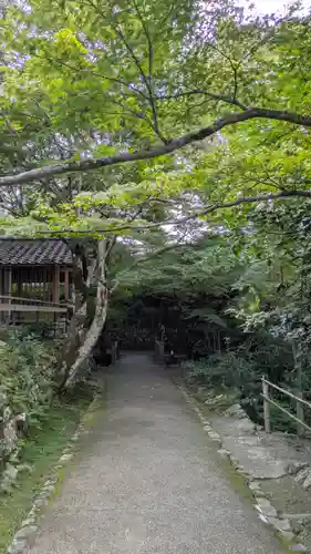 宝泉院(京都府)