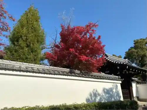 大心院(京都府)