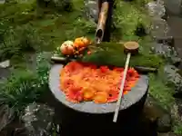 柳谷観音 楊谷寺の手水舎