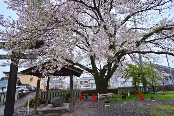 冨知神社(静岡県)