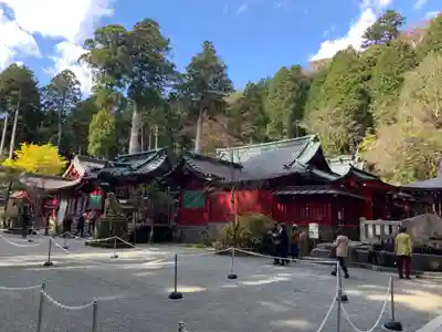 箱根神社の本殿・本堂