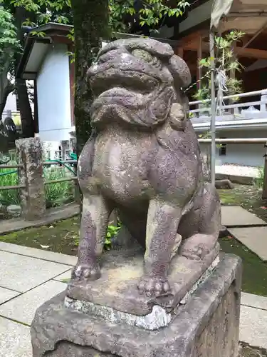 鳩森八幡神社の狛犬