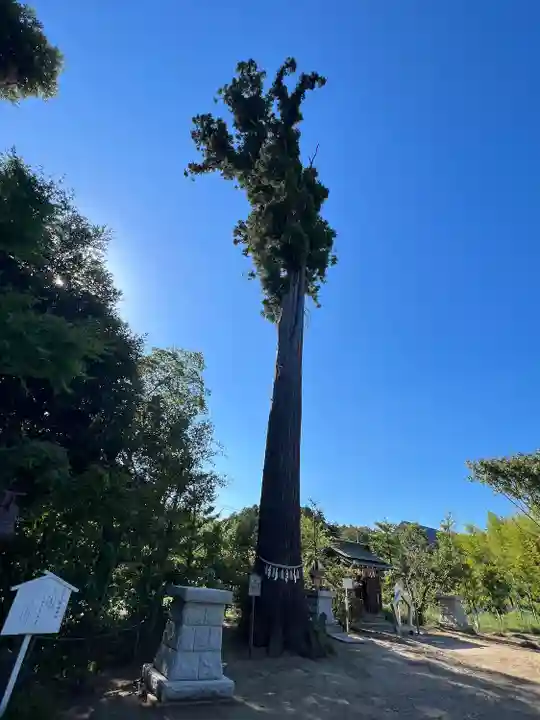 鶴峯八幡宮(千葉県)