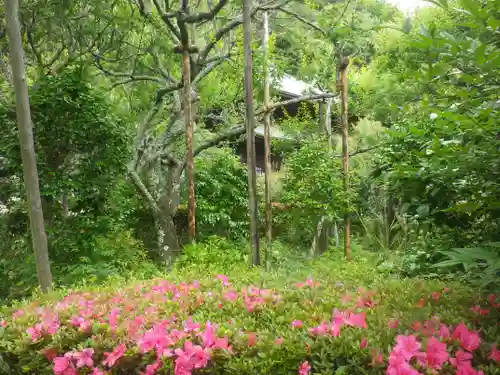 瑞泉寺の庭園