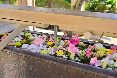 鳩森八幡神社の手水舎