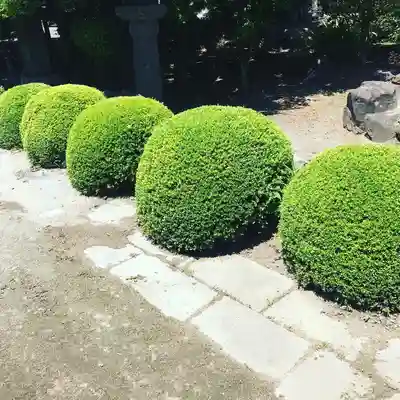 本妙寺のその他建物