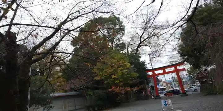 平野神社(京都府)