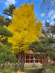 達谷西光寺(岩手県)