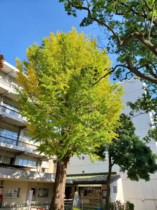 安積國造神社の自然