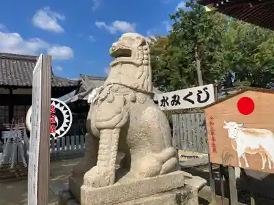赤穂大石神社の狛犬
