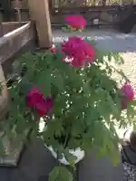 上野東照宮(東京都)