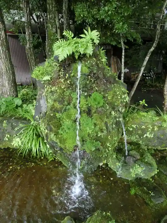阿蘇神社の庭園
