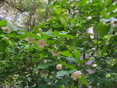 沙沙貴神社(滋賀県)