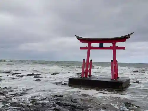 金比羅神社の鳥居